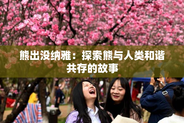 熊出没纳雅：探索熊与人类和谐共存的故事