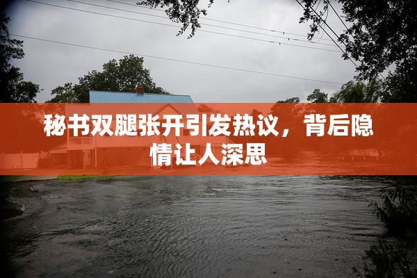 秘书双腿张开引发热议，背后隐情让人深思