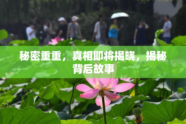 秘密重重，真相即将揭晓，揭秘背后故事