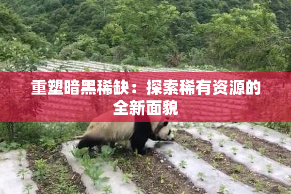 重塑暗黑稀缺：探索稀有资源的全新面貌