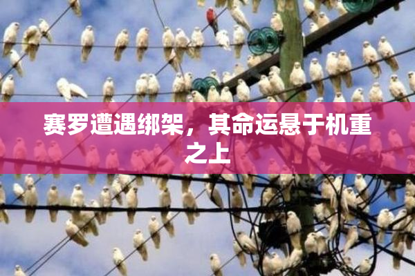 赛罗遭遇绑架，其命运悬于机重之上