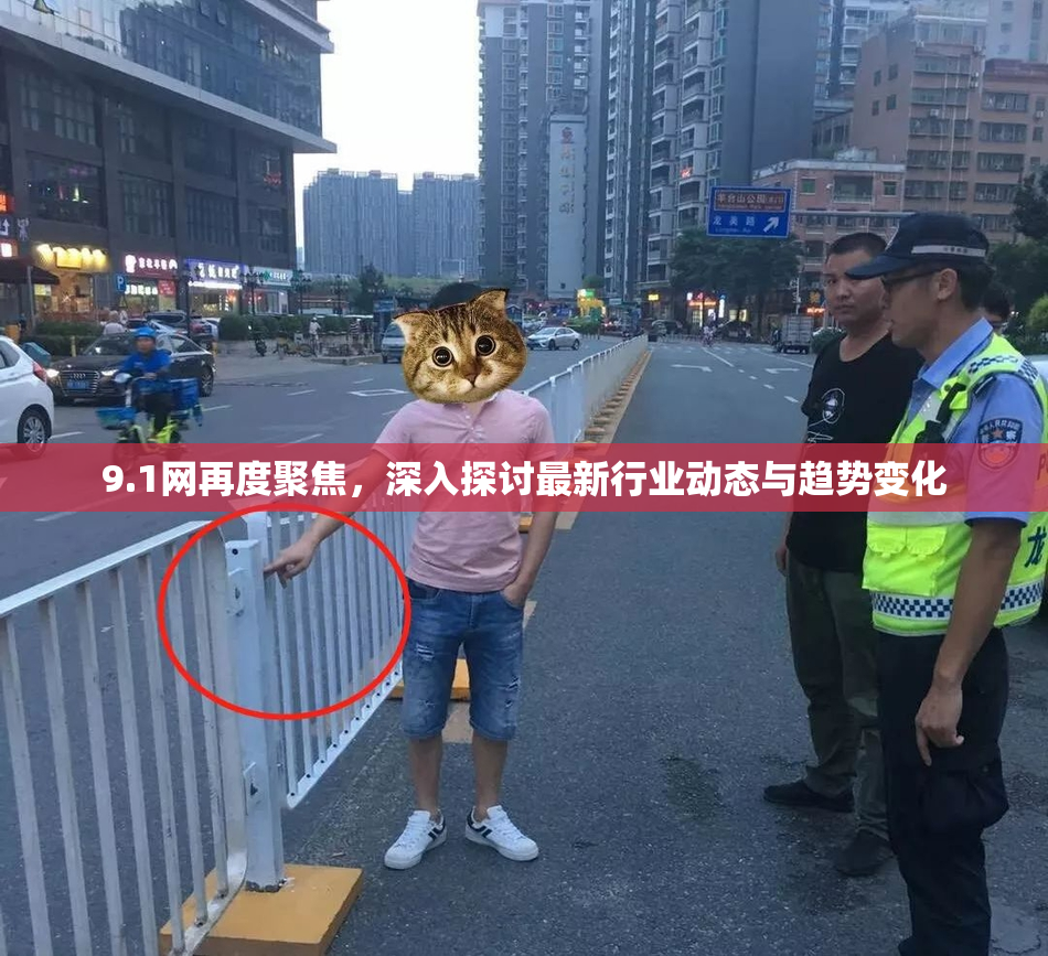9.1网再度聚焦，深入探讨最新行业动态与趋势变化