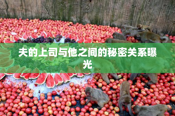 夫的上司与他之间的秘密关系曝光
