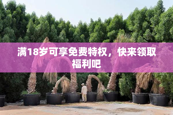 满18岁可享免费特权，快来领取福利吧
