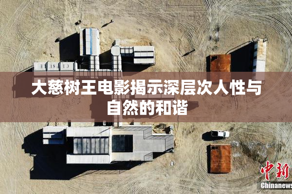 大慈树王电影揭示深层次人性与自然的和谐