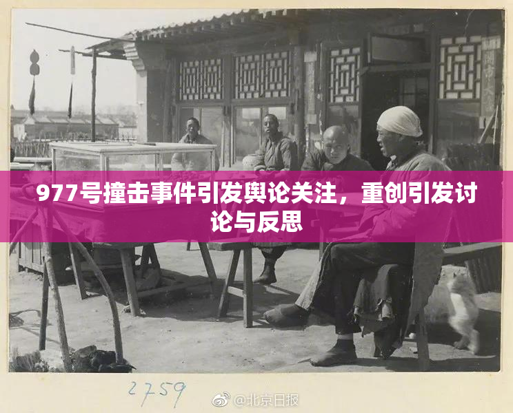 977号撞击事件引发舆论关注，重创引发讨论与反思