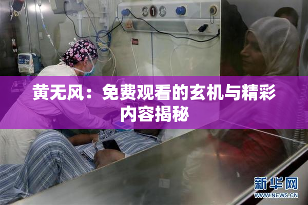 黄无风：免费观看的玄机与精彩内容揭秘