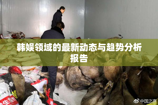 韩娱领域的最新动态与趋势分析报告