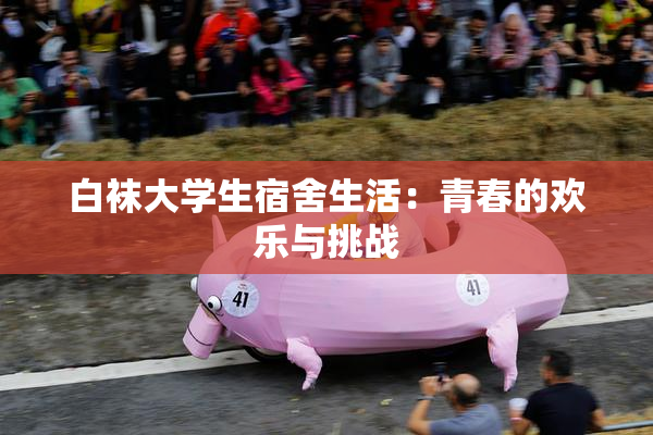白袜大学生宿舍生活：青春的欢乐与挑战