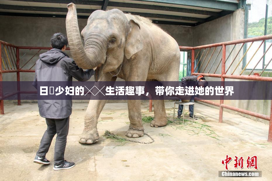 日夲少妇的╳╳生活趣事，带你走进她的世界