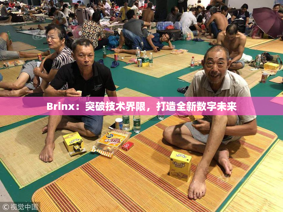Brinx：突破技术界限，打造全新数字未来