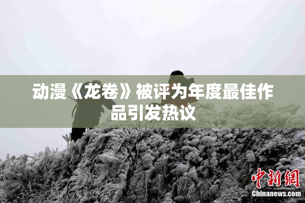 动漫《龙卷》被评为年度最佳作品引发热议