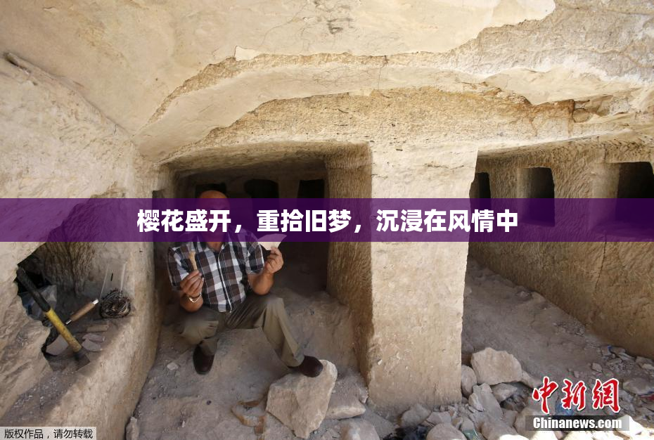 樱花盛开，重拾旧梦，沉浸在风情中