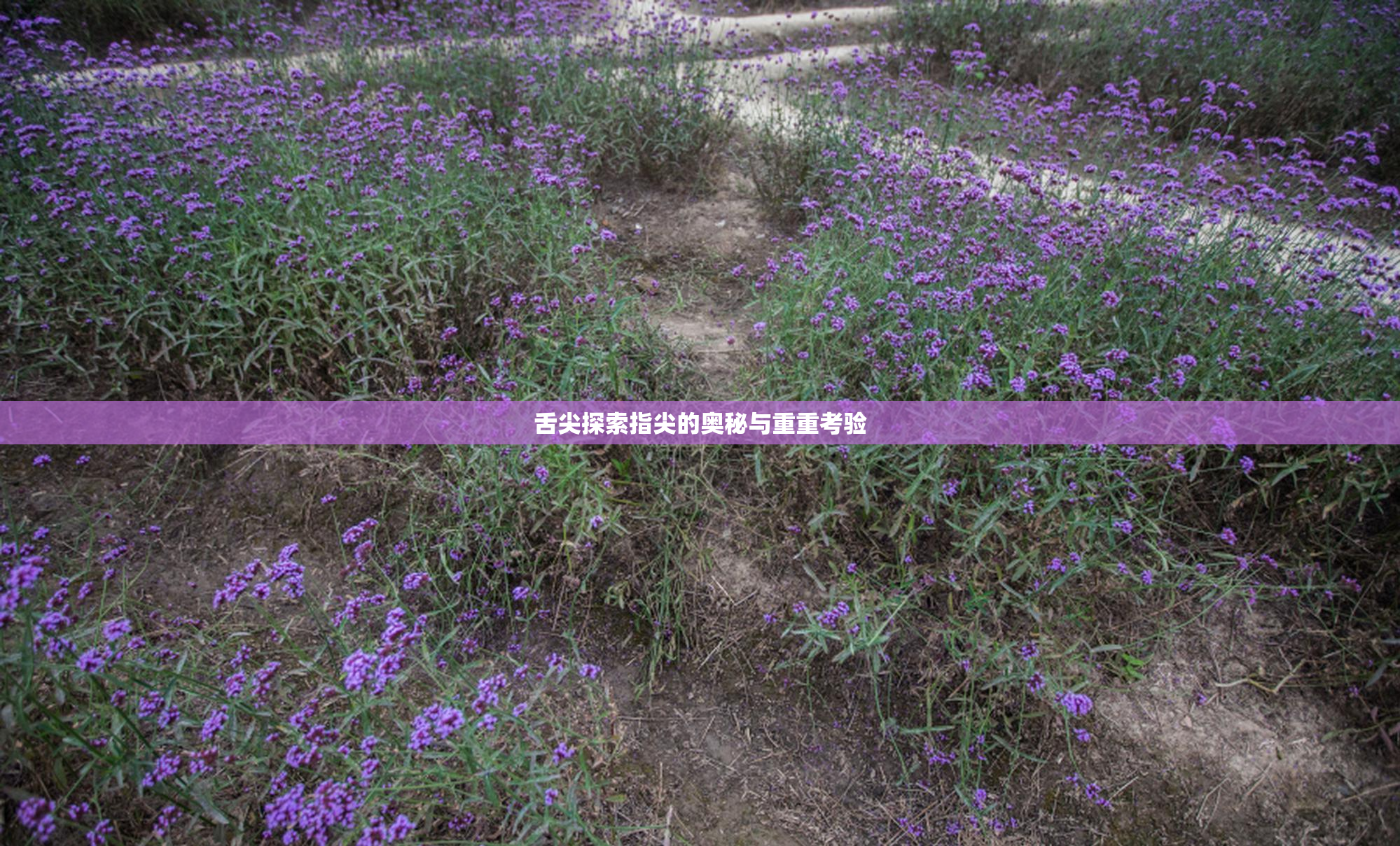 舌尖探索指尖的奥秘与重重考验