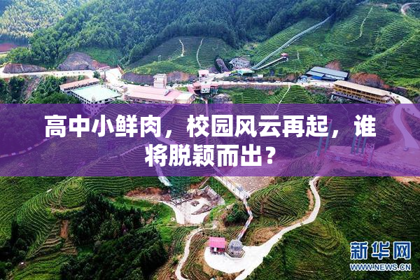 高中小鲜肉，校园风云再起，谁将脱颖而出？
