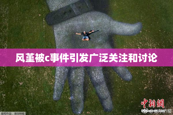 风堇被c事件引发广泛关注和讨论