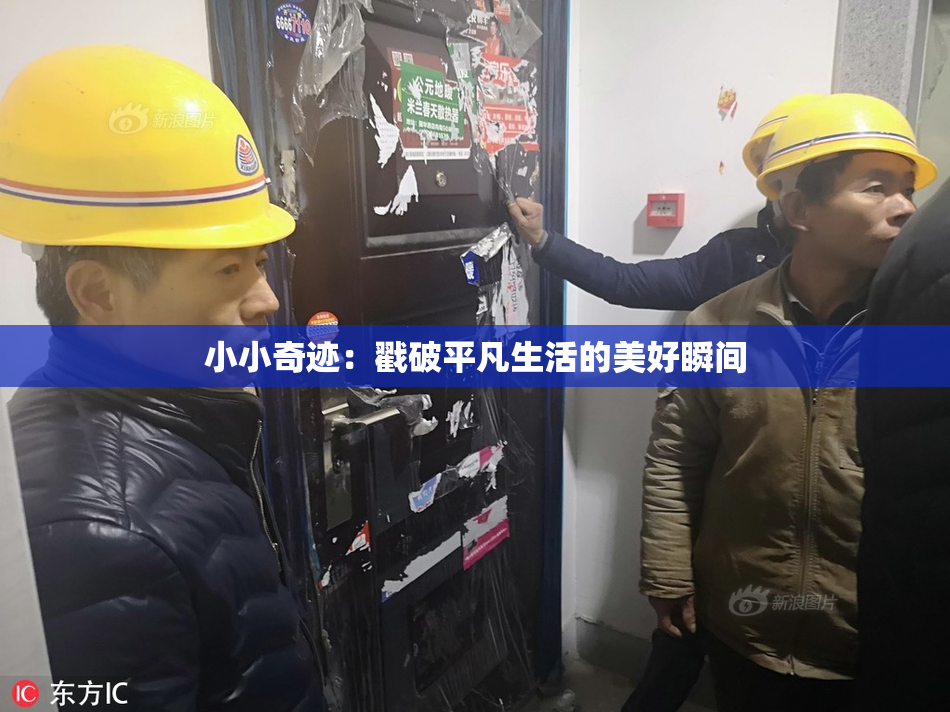 小小奇迹：戳破平凡生活的美好瞬间
