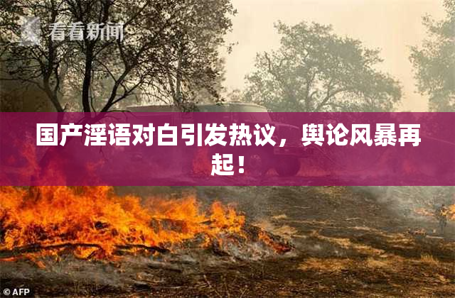 国产淫语对白引发热议，舆论风暴再起！