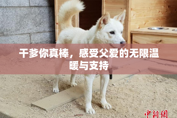 干爹你真棒，感受父爱的无限温暖与支持