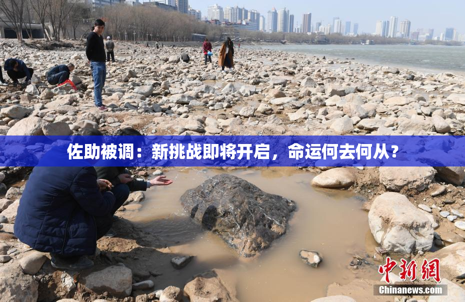 佐助被调：新挑战即将开启，命运何去何从？