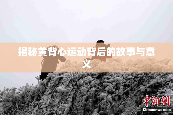 揭秘黄背心运动背后的故事与意义