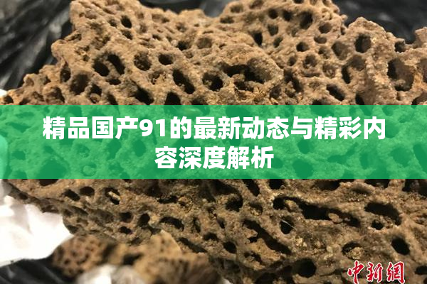 精品国产91的最新动态与精彩内容深度解析