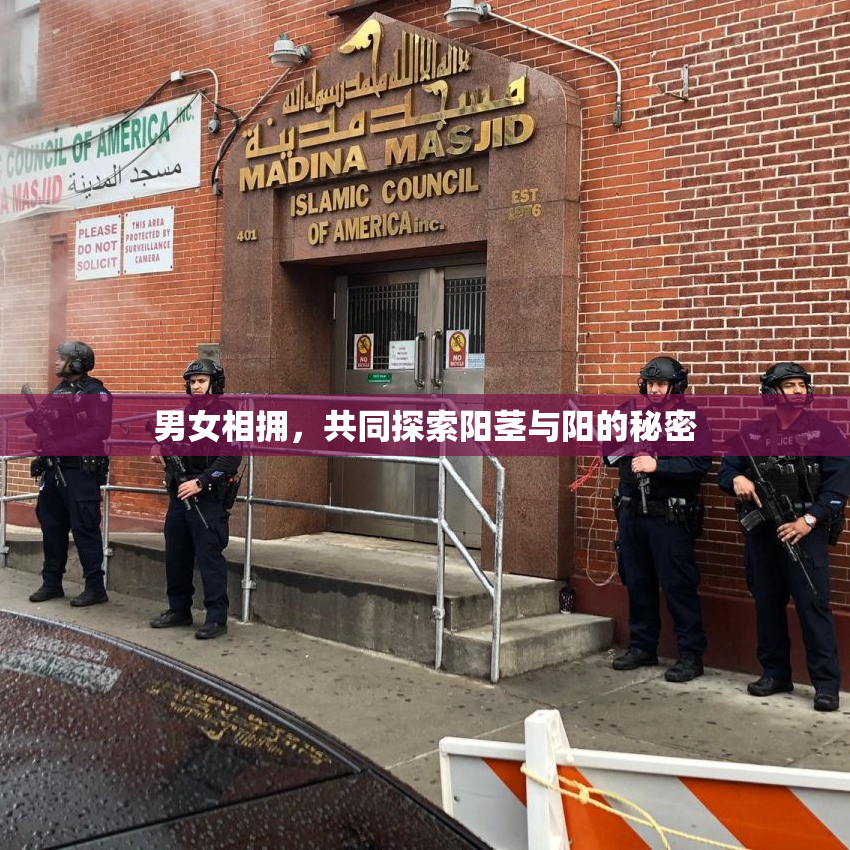 男女相拥，共同探索阳茎与阳的秘密