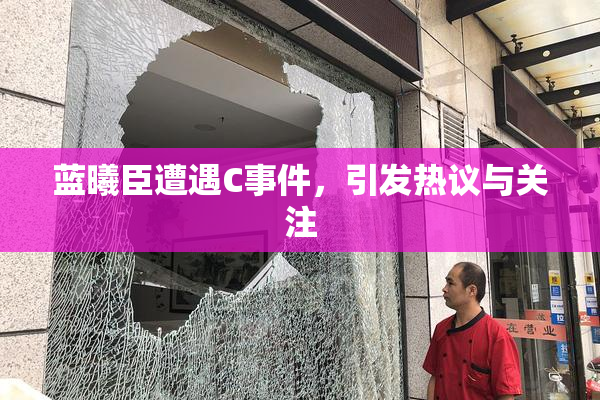 蓝曦臣遭遇C事件，引发热议与关注