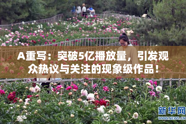 A重写：突破5亿播放量，引发观众热议与关注的现象级作品！