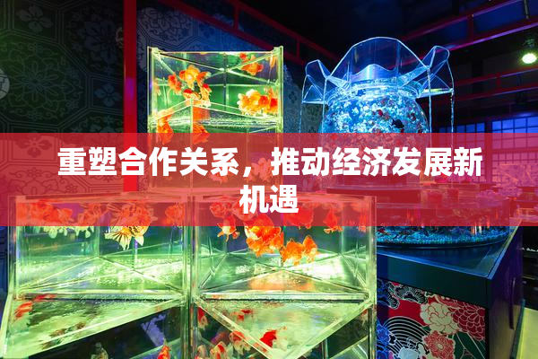 重塑合作关系，推动经济发展新机遇