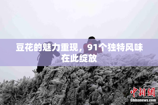 豆花的魅力重现，91个独特风味在此绽放