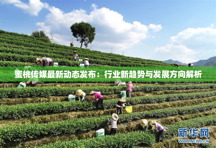 蜜桃传媒最新动态发布：行业新趋势与发展方向解析