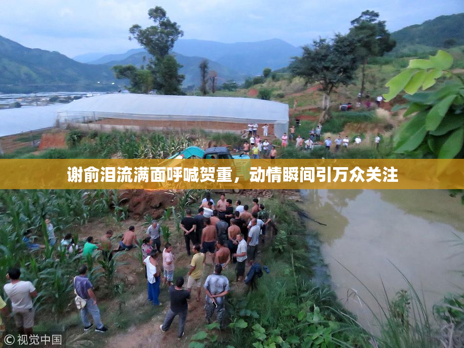 谢俞泪流满面呼喊贺重，动情瞬间引万众关注