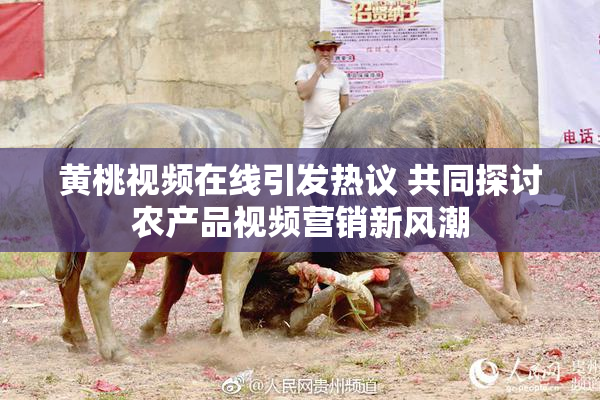 黄桃视频在线引发热议 共同探讨农产品视频营销新风潮