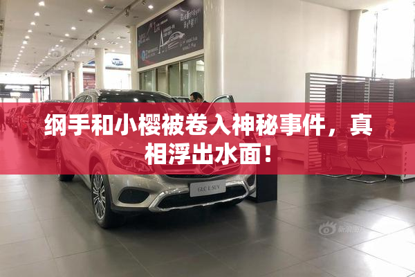 纲手和小樱被卷入神秘事件，真相浮出水面！