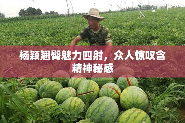 杨颖翘臀魅力四射，众人惊叹含精神秘感