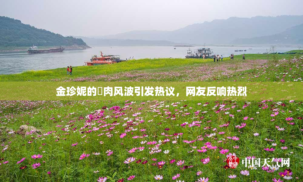 金珍妮的婬肉风波引发热议，网友反响热烈