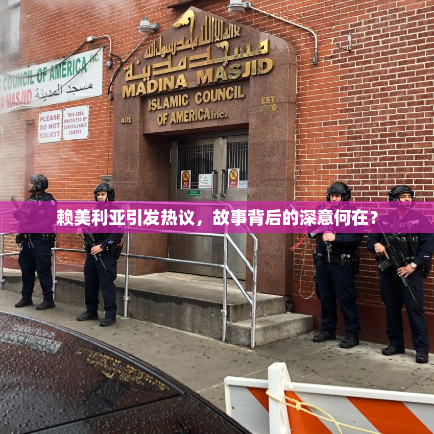 赖美利亚引发热议，故事背后的深意何在？