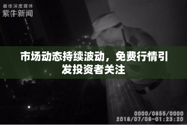 市场动态持续波动，免费行情引发投资者关注
