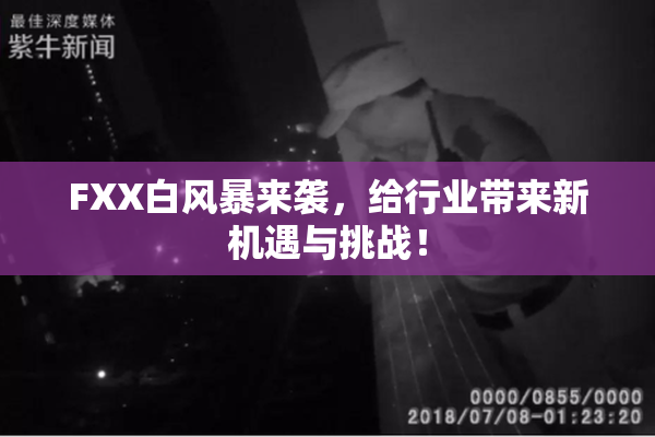 FXX白风暴来袭，给行业带来新机遇与挑战！