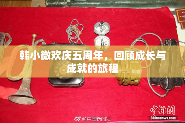 韩小微欢庆五周年，回顾成长与成就的旅程
