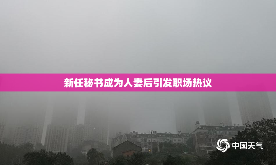 新任秘书成为人妻后引发职场热议