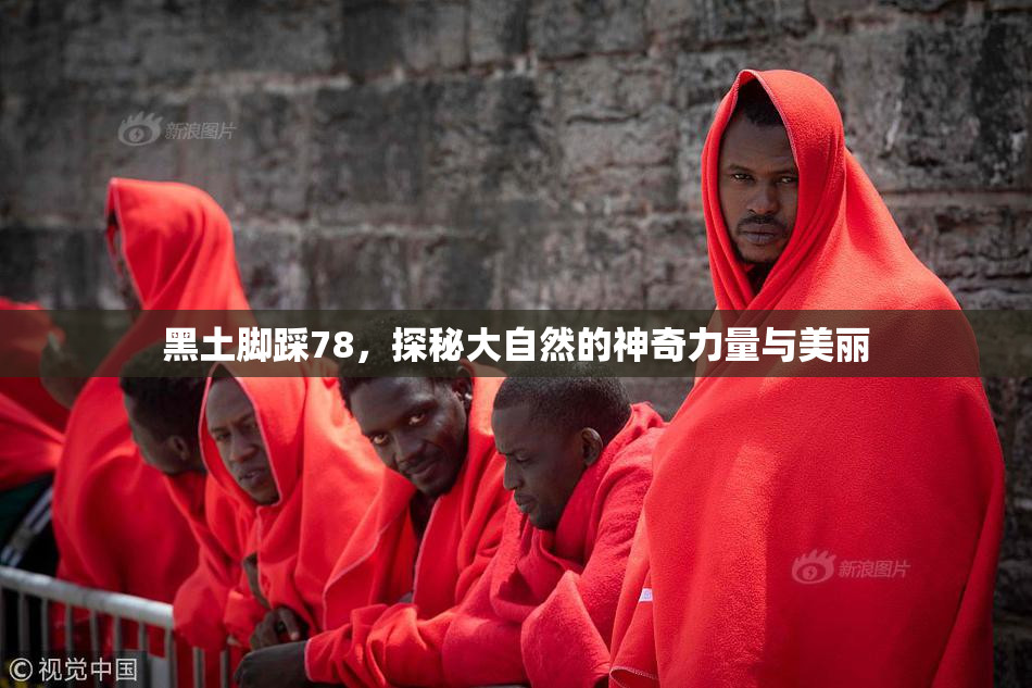 黑土脚踩78，探秘大自然的神奇力量与美丽