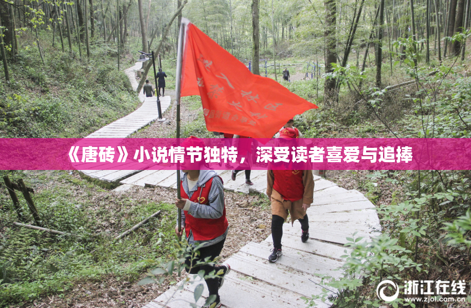 《唐砖》小说情节独特，深受读者喜爱与追捧
