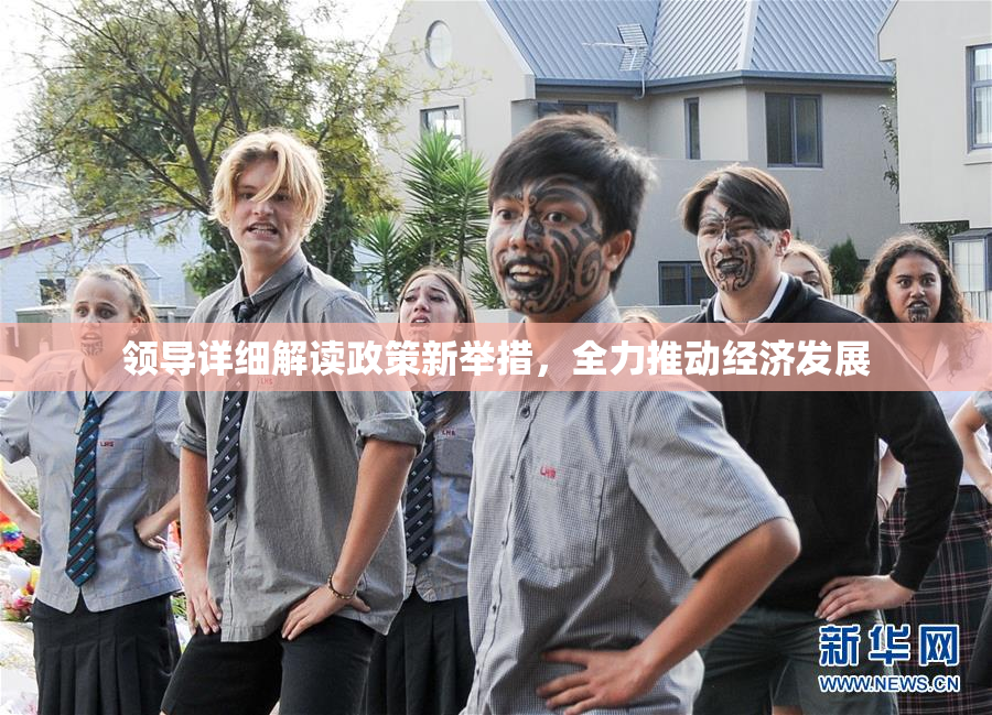领导详细解读政策新举措，全力推动经济发展