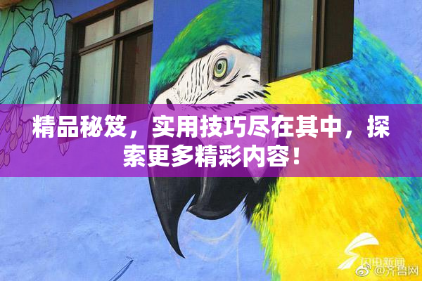 精品秘笈，实用技巧尽在其中，探索更多精彩内容！