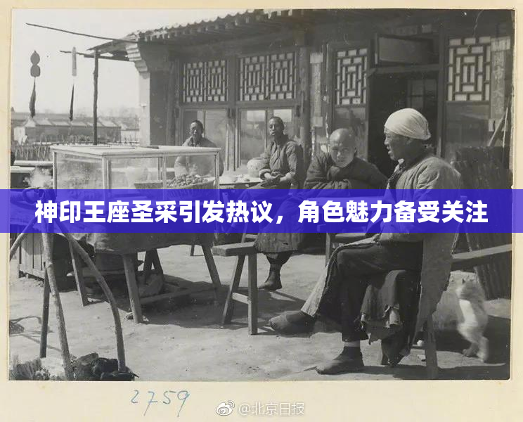 神印王座圣采引发热议，角色魅力备受关注