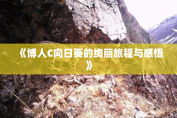 《博人C向日葵的绚丽旅程与感悟》