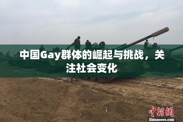 中国Gay群体的崛起与挑战，关注社会变化