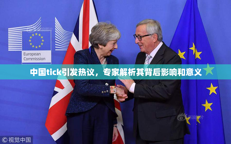 中国tick引发热议，专家解析其背后影响和意义